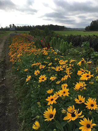 Smedsbyns Blommor och Grönt